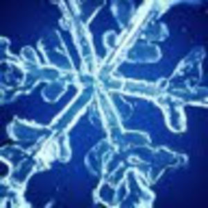 Meet your Posher, Jenya